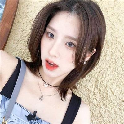 只有我没有猫封面
